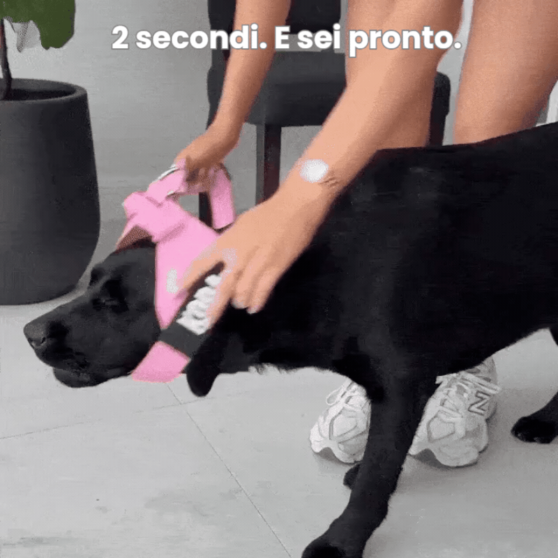 Veltrio – Pettorina Anti-Trazione | Controllo Totale senza sforzo