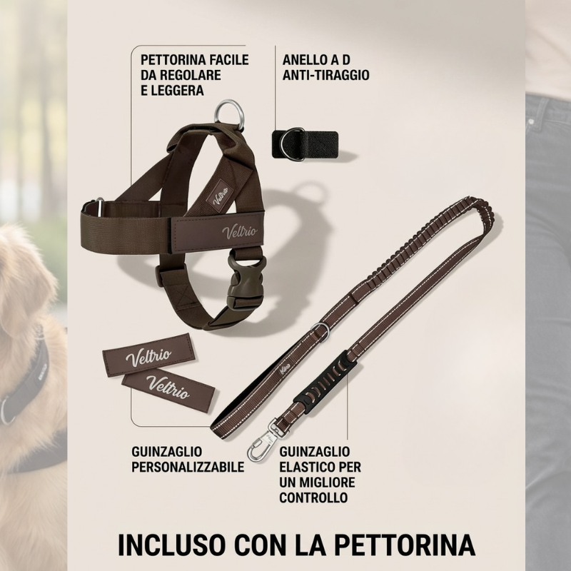 Pettorina Veltrio™ – Stop agli Strattoni, Controllo Totale